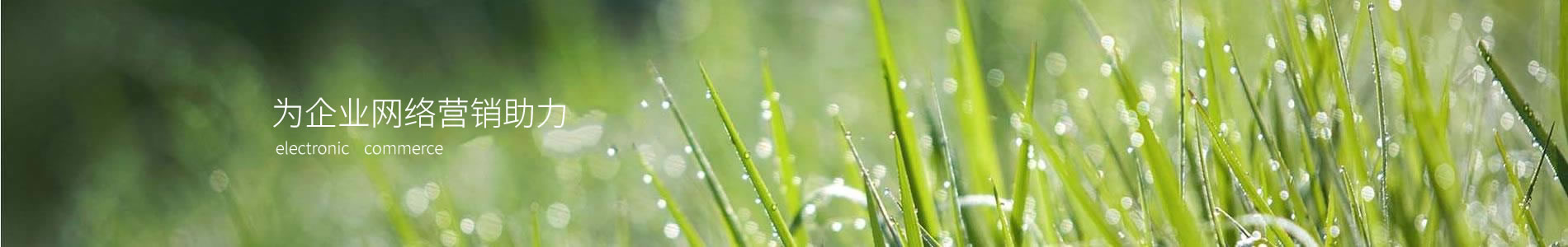 ڹе޹˾